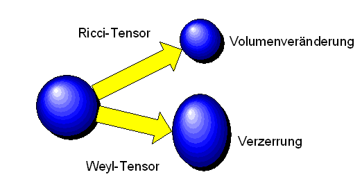 Ricci- und Weyl-Tensor